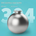 Stainless Steel Dog Water Bottle